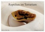 REPTILIEN IM TERRARIUM (Tischkalender 2026 DIN A5 quer), CALVENDO Monatskalender