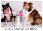 Shelties : Charmeure auf 4 Pfoten (Wandkalender 2026 DIN A4 quer), CALVENDO Monatskalender