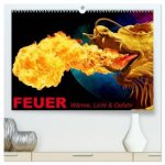 Feuer - Wärme, Licht & Gefahr (hochwertiger Premium Wandkalender 2026 DIN A2 quer), Kunstdruck in Hochglanz