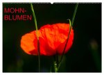 Mohnblumen (Wandkalender 2026 DIN A2 quer), CALVENDO Monatskalender