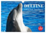 Delfine - Lächelnde Intelligenz (Wandkalender 2026 DIN A4 quer), CALVENDO Monatskalender