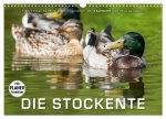 Emotionale Momente: Die Stockente. (Wandkalender 2026 DIN A3 quer), CALVENDO Monatskalender