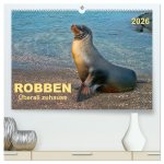 Robben - überall zuhause (hochwertiger Premium Wandkalender 2026 DIN A2 quer), Kunstdruck in Hochglanz