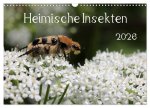 Heimische Insekten 2026 (Wandkalender 2026 DIN A3 quer), CALVENDO Monatskalender