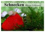 Schnecken. Witzige Schleimer (Tischkalender 2026 DIN A5 quer), CALVENDO Monatskalender