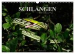 Schlangen (Wandkalender 2026 DIN A3 quer), CALVENDO Monatskalender