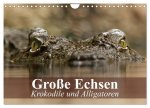 Große Echsen. Krokodile und Alligatoren (Wandkalender 2026 DIN A4 quer), CALVENDO Monatskalender