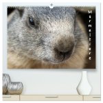 Murmeltiere (hochwertiger Premium Wandkalender 2026 DIN A2 quer), Kunstdruck in Hochglanz