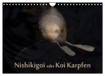 Nishikigoi oder Koi Karpfen (Wandkalender 2026 DIN A4 quer), CALVENDO Monatskalender