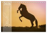 Pferde - Anmut und Stärke gepaart mit Magie (Tischkalender 2026 DIN A5 quer), CALVENDO Monatskalender