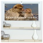 Faszination Affen. Kobolde zum Verlieben (hochwertiger Premium Wandkalender 2026 DIN A2 quer), Kunstdruck in Hochglanz