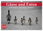 Gänse und Enten. Schnattern, watscheln, quaken! (Wandkalender 2026 DIN A3 quer), CALVENDO Monatskalender