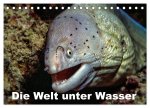 Die Welt unter Wasser (Tischkalender 2026 DIN A5 quer), CALVENDO Monatskalender