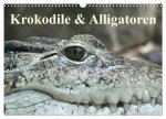 Krokodile & Alligatoren (Wandkalender 2026 DIN A3 quer), CALVENDO Monatskalender