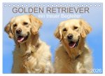 Golden Retriever ein treuer Begleiter (Tischkalender 2026 DIN A5 quer), CALVENDO Monatskalender