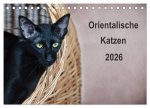 Orientalische Katzen (Tischkalender 2026 DIN A5 quer), CALVENDO Monatskalender