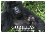 Gorillas. Friedliebende Kraftpakete (Wandkalender 2026 DIN A4 quer), CALVENDO Monatskalender