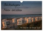 Boltenhagen - Meer erleben (Wandkalender 2026 DIN A4 quer), CALVENDO Monatskalender