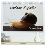 Lautlose Begleiter - Schnecken (hochwertiger Premium Wandkalender 2026 DIN A2 quer), Kunstdruck in Hochglanz