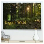 Unser Wald - Magische Sichten in norddeutsche Wälder / Geburtstagskalender (hochwertiger Premium Wandkalender 2026 DIN A2 quer), Kunstdruck in Hochgla