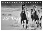 Pferde 2026 Wild Thing (Tischkalender 2026 DIN A5 quer), CALVENDO Monatskalender