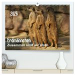 Erdmännchen - Zusammen sind wir stark / CH-Version (hochwertiger Premium Wandkalender 2026 DIN A2 quer), Kunstdruck in Hochglanz