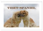 Tibet-Spaniel (Wandkalender 2026 DIN A4 quer), CALVENDO Monatskalender