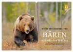 Magie des Augenblicks - Bären in nordischen Wäldern (Wandkalender 2026 DIN A2 quer), CALVENDO Monatskalender