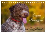 Lagotto Romagnolo - Italienischer Trüffelhund (Tischkalender 2026 DIN A5 quer), CALVENDO Monatskalender