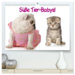 Süße Tier-Babys! (hochwertiger Premium Wandkalender 2026 DIN A2 quer), Kunstdruck in Hochglanz