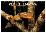 REPTILIEN (Wandkalender 2026 DIN A2 quer), CALVENDO Monatskalender