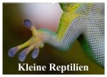 Kleine Reptilien (Wandkalender 2026 DIN A2 quer), CALVENDO Monatskalender