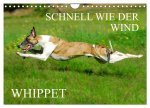 Schnell wie der Wind - Whippet (Wandkalender 2026 DIN A4 quer), CALVENDO Monatskalender
