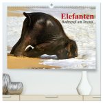 Elefanten. Badespaß am Strand (hochwertiger Premium Wandkalender 2026 DIN A2 quer), Kunstdruck in Hochglanz