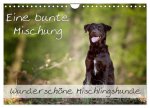 Eine bunte Mischung - wunderschöne Mischlingshunde / Geburtstagskalender (Wandkalender 2026 DIN A4 quer), CALVENDO Monatskalender