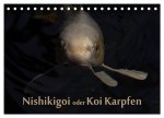 Nishikigoi oder Koi Karpfen (Tischkalender 2026 DIN A5 quer), CALVENDO Monatskalender