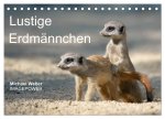 Lustige Erdmännchen (Tischkalender 2026 DIN A5 quer), CALVENDO Monatskalender