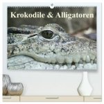 Krokodile & Alligatoren (hochwertiger Premium Wandkalender 2026 DIN A2 quer), Kunstdruck in Hochglanz