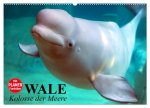Wale. Kolosse der Meere (Wandkalender 2026 DIN A2 quer), CALVENDO Monatskalender