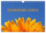 Sonnenblumen (Wandkalender 2026 DIN A4 quer), CALVENDO Monatskalender