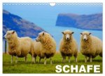 Schafe / Geburtstagskalender (Wandkalender 2026 DIN A4 quer), CALVENDO Monatskalender