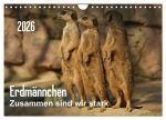 Erdmännchen - Zusammen sind wir stark / CH-Version (Wandkalender 2026 DIN A4 quer), CALVENDO Monatskalender