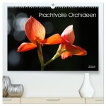 Prachtvolle Orchideen (hochwertiger Premium Wandkalender 2026 DIN A2 quer), Kunstdruck in Hochglanz