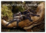 Vogelspinnen - Tarantulas (Wandkalender 2026 DIN A3 quer), CALVENDO Monatskalender