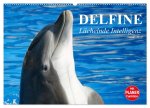 Delfine - Lächelnde Intelligenz (Wandkalender 2026 DIN A2 quer), CALVENDO Monatskalender