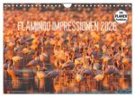 Flamingo Impressionen 2026 (Wandkalender 2026 DIN A4 quer), CALVENDO Monatskalender