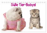 Süße Tier-Babys! (Tischkalender 2026 DIN A5 quer), CALVENDO Monatskalender