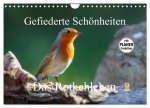 Gefiederte Schönheiten - Das Rotkehlchen / Planer (Wandkalender 2026 DIN A4 quer), CALVENDO Monatskalender