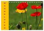 MOHNBLÜTEN (Tischkalender 2026 DIN A5 quer), CALVENDO Monatskalender