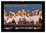 Wilde Tiere Afrikas (Wandkalender 2026 DIN A2 quer), CALVENDO Monatskalender